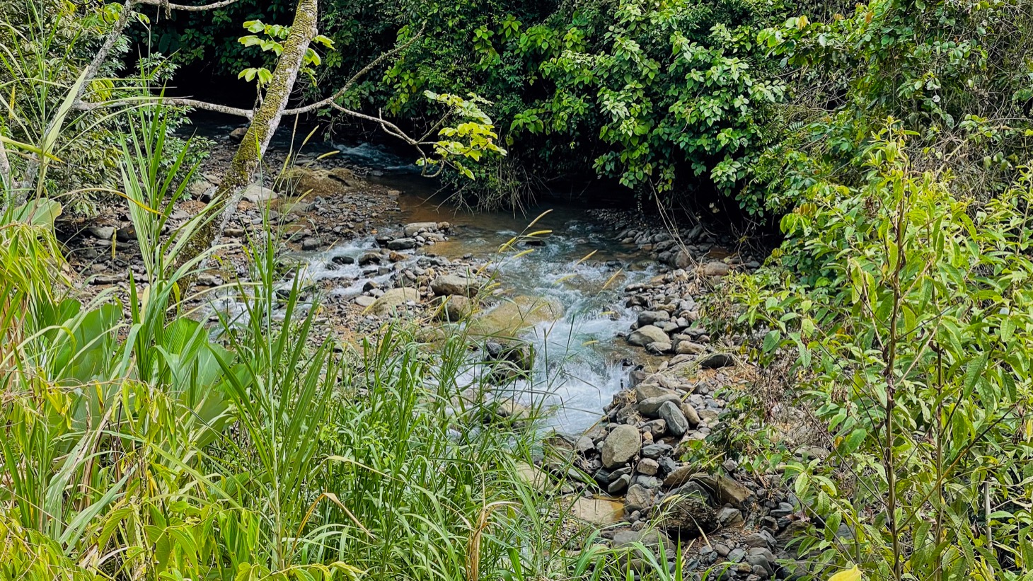Secluded 4.5-Hectare Riverfront Oasis Near Hatillo & Dominical – Dos Bocas, Costa Rica selected