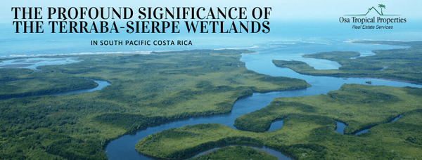 The Profound Significance of the Térraba-Sierpe Wetlands
