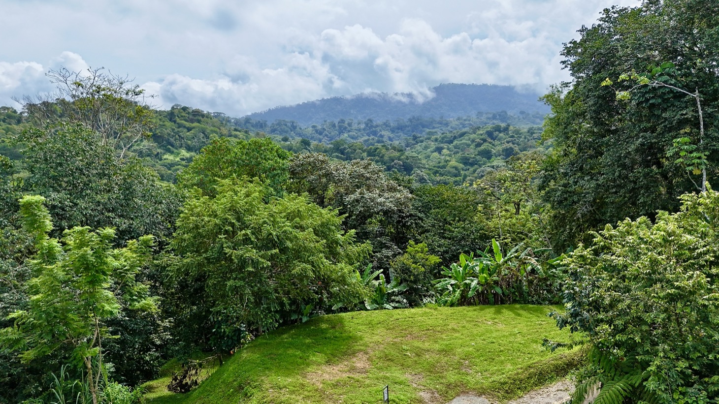 Ocean View Land Within a Few Minutes to Uvita selected