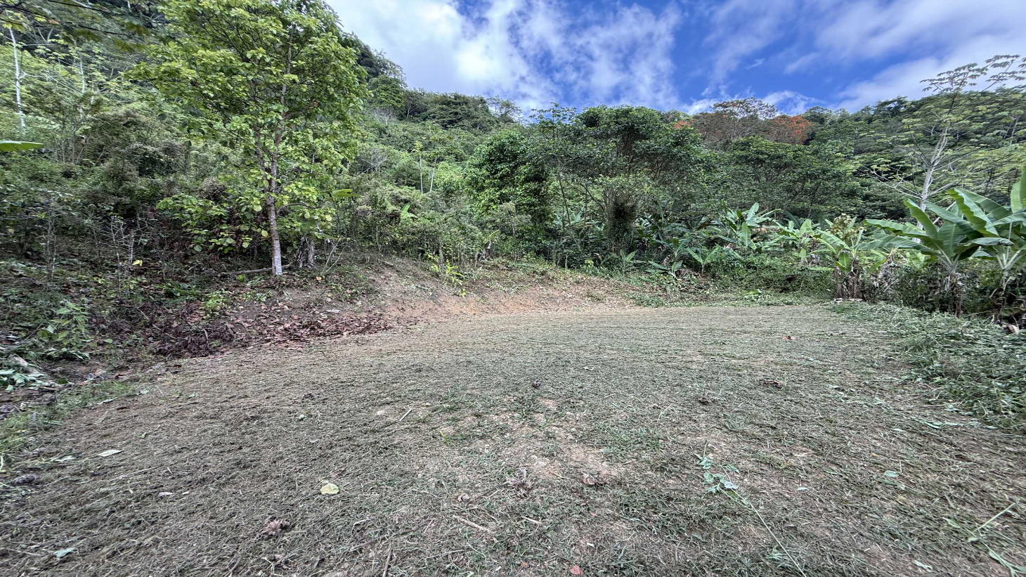 Jungle Lot with 3+ Building Sites, Legal Water, Electricity on Public Road with Big Valley & Mountain Views near San Josecito Costa Rica selected