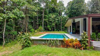 Exceptional 12-Acre Investment Property in Central Ojochal – Riverfront Jungle Estate with Home, Cabin, Workshop & Endless Development Potential image 5