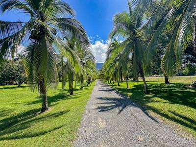 13.4 Acres of Prime Development Land with Direct Airport Access in Palmar Sur image 4