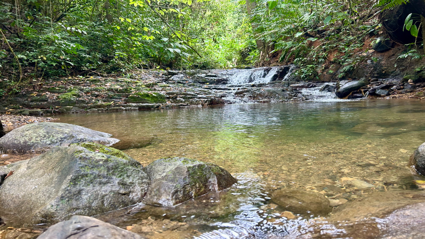 Selva Vista Estate – 5.9 Acres of Wild Beauty selected