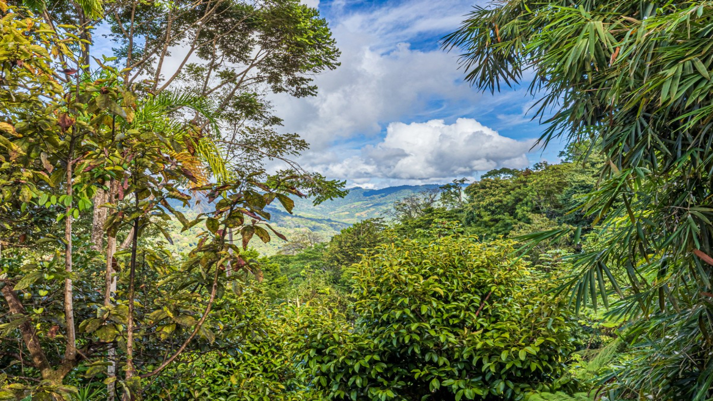 1.37 ACRES – 2 Bedroom Bali Style Home With Pool And THE BEST Ocean View  selected