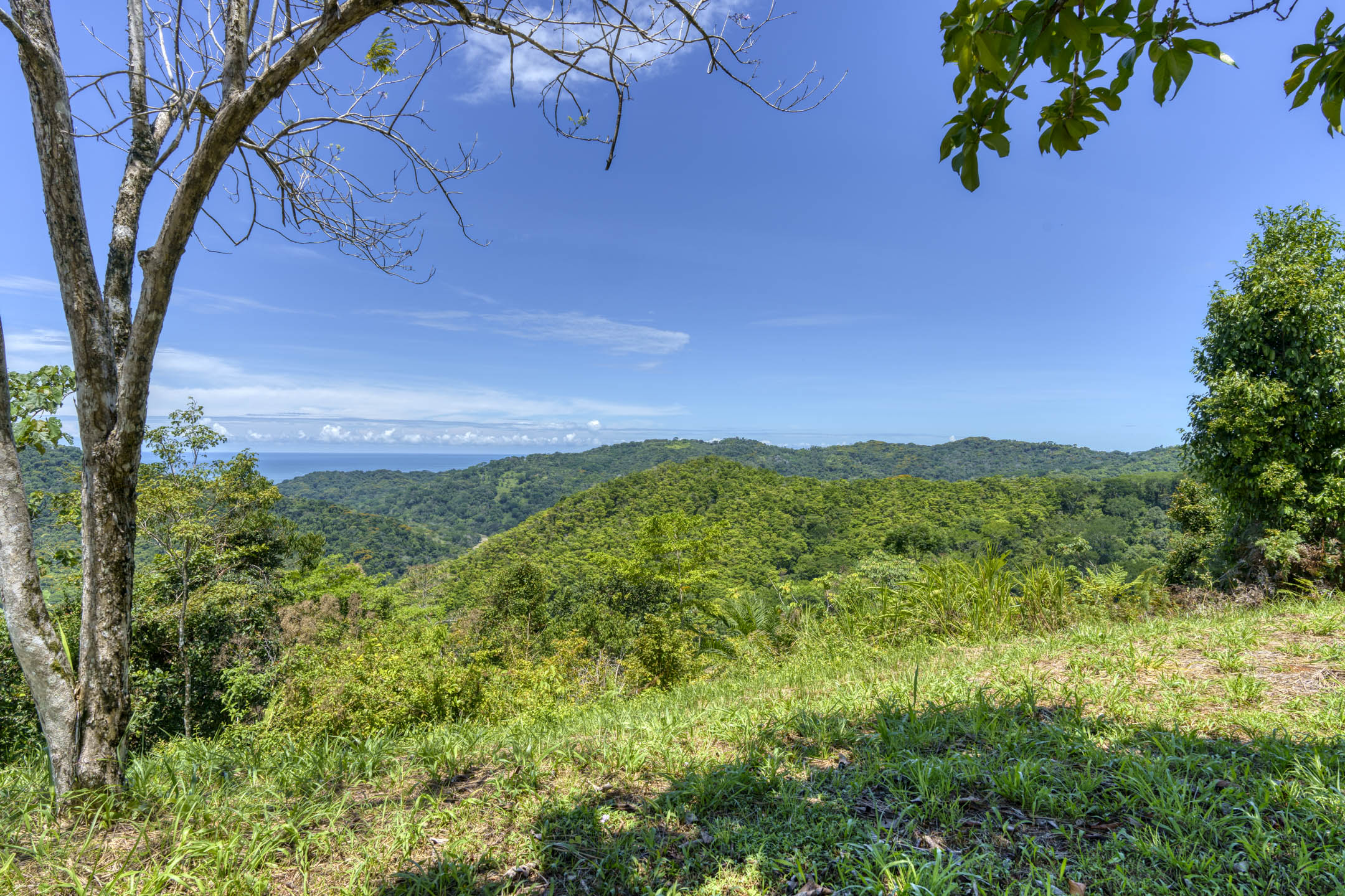 26 Acres With Ocean, Mountain & Waterfall View In Platanillo selected