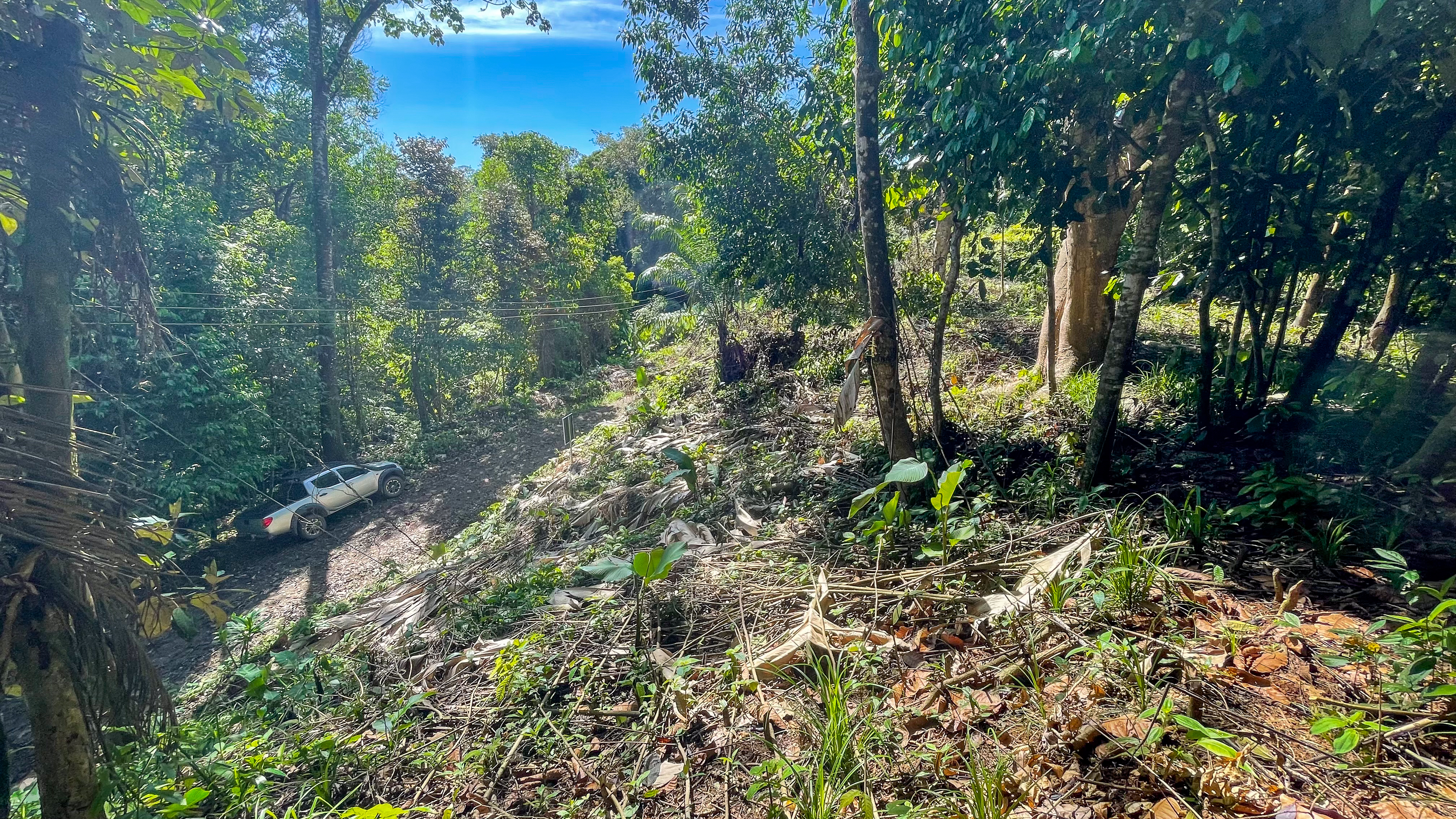 Tucked-Away Jungle Lot at the End of a Quiet Road — Ojochal, Costa Rica selected