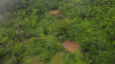 Mountain View Land with Several Building Sites and Mature Fruit Trees image 3