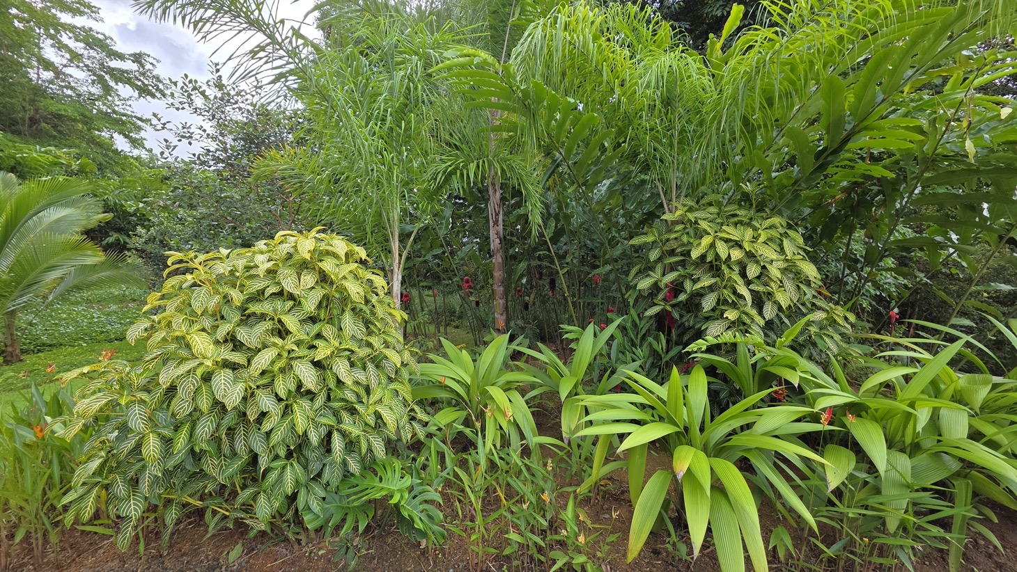 Tropical Turnkey Retreat in Gated Community selected