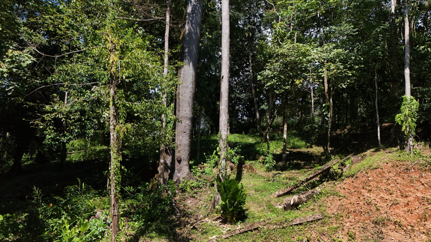 Private Beach Community | 1,708 m² Build-Ready Lot in Ballena selected