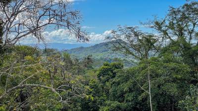 Ocean - Mountain View Lot for Sale in Ojochal, Costa Rica  image 3