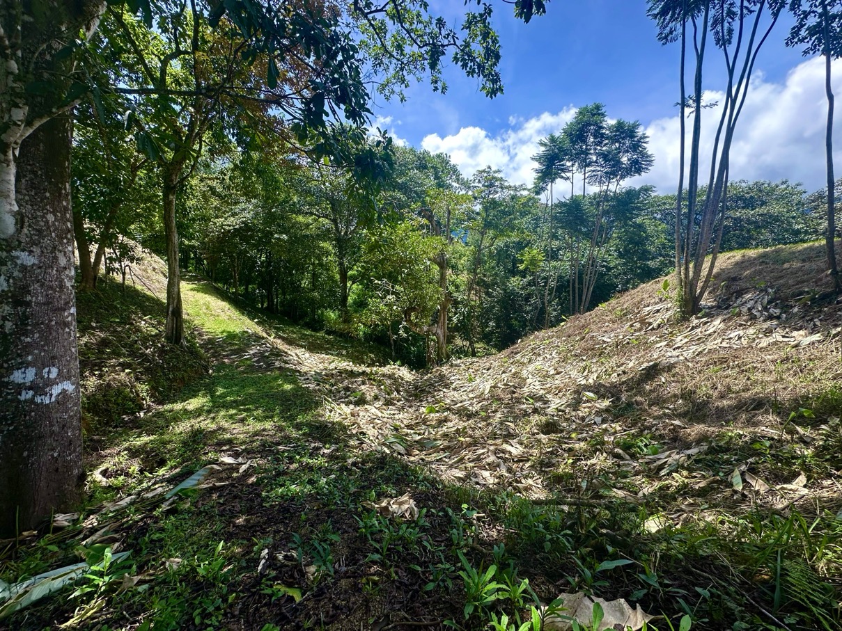 Build-Ready Lot with Mountain Views and Easy Access in Ojochal selected