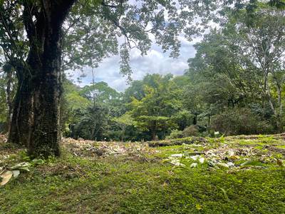3.5 Acres with River Frontage in Tres Ríos image 3