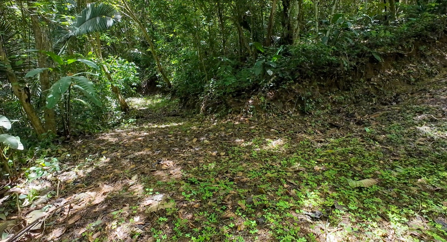 Stunning 16 acre Ocean View Property San Buenas, Costa Rica  selected