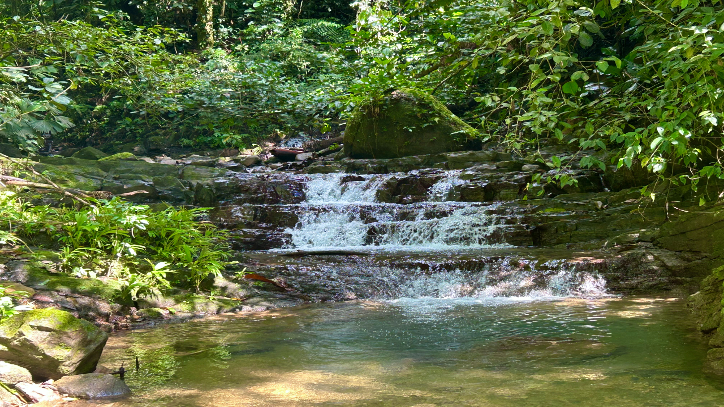 Selva Vista Estate – 5.9 Acres of Wild Beauty selected