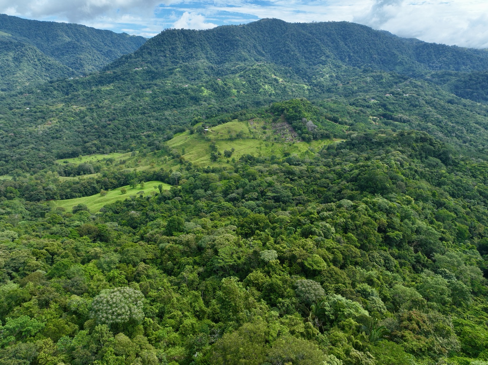 61.78 Acres of Oceanview Bliss with Private Waterfall in Tres Rios selected