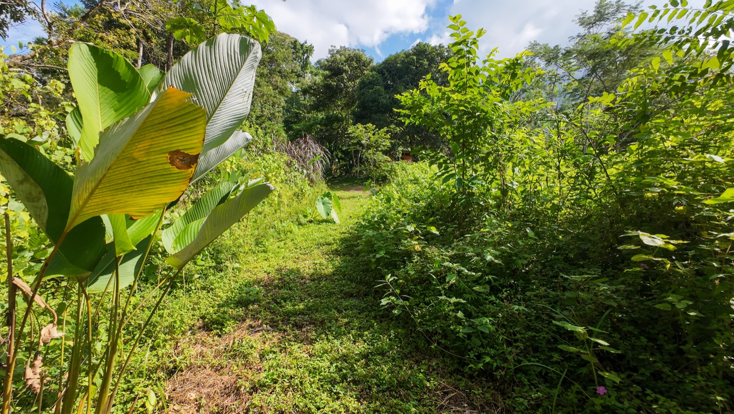 Riverfront Property for Sale in Ojochal, Costa Rica – Nearly 1 Hectare of Flat, Buildable Land selected