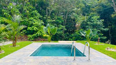 Brand New 2 Bedroom Home on Acreage Backing onto Jungle and Creek image 3