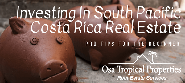 Investing In South Pacific Costa Rica Real Estate – Top Tips For The Beginner