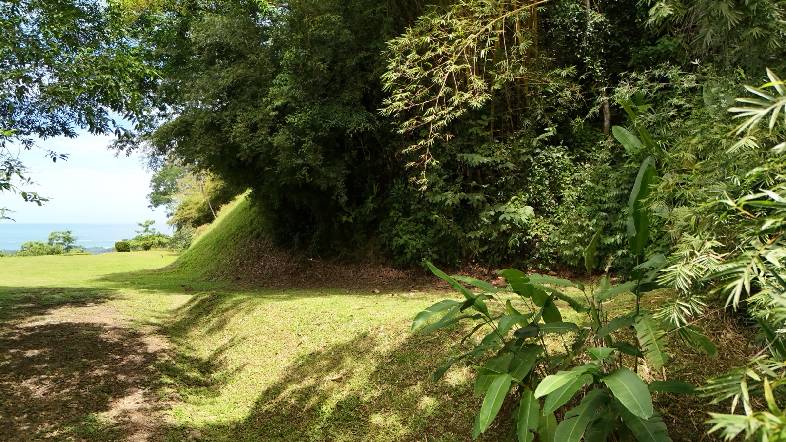 Expansive Oceanview Estate Lot in Uvita selected