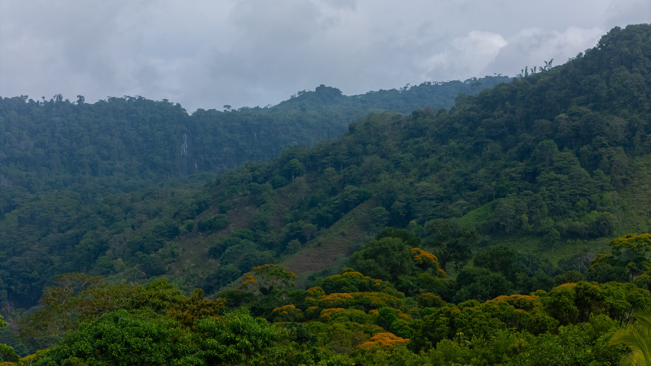 Ocean View Development Property with Waterfall Vista — 14.83 Acres in San Luis de Morete, Near Uvita selected