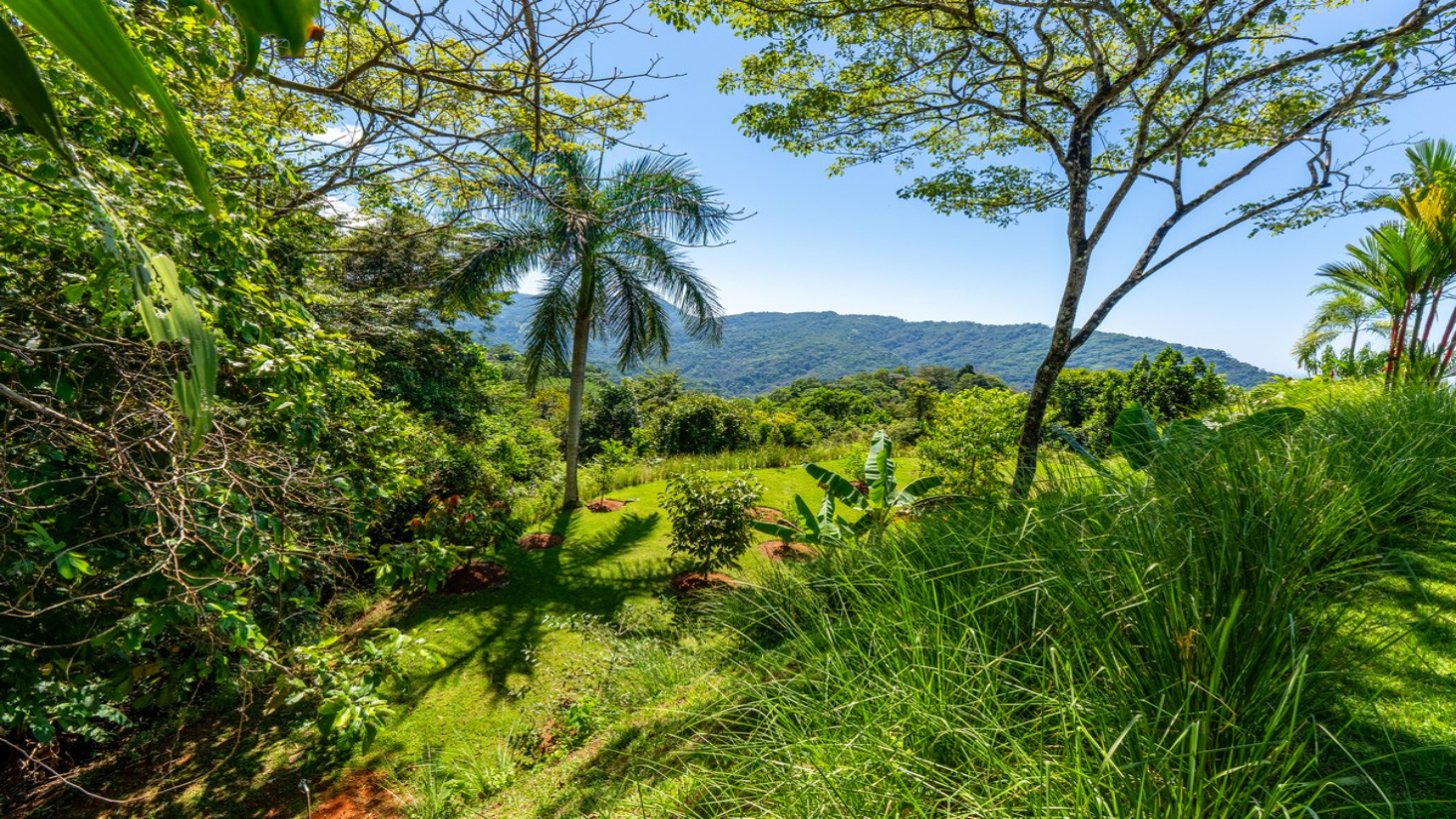 5.67 ACRES – 3 Bedroom Stunning Luxury Home Featuring Sweeping Valley & Ocean Views, Natural Wood Finishes & Sophisticated Design! selected