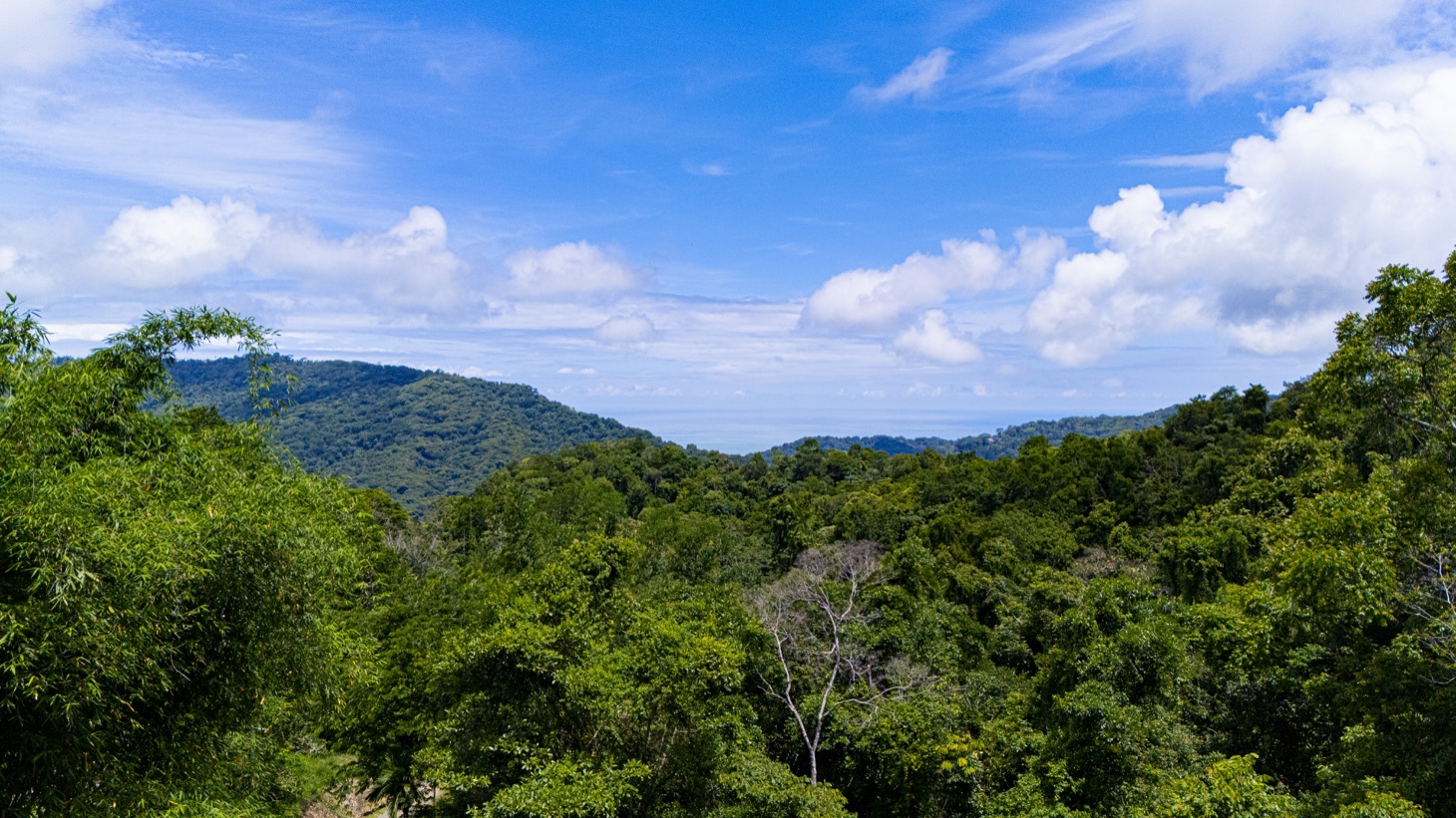 Move-In Ready Ocean View Home Surrounded by Nature selected