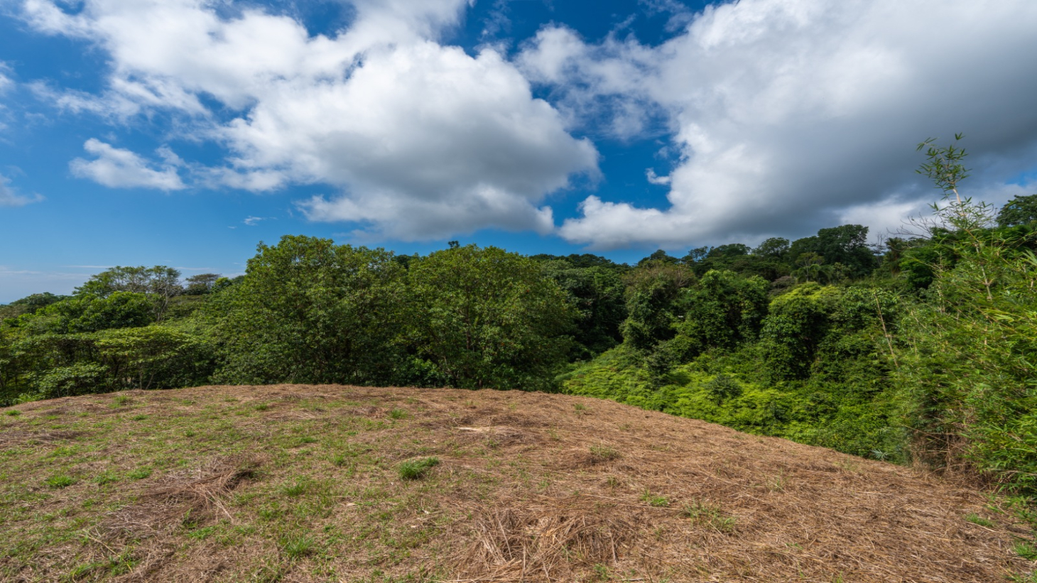 3-Acre Development Opportunity in Phase 5 Gated Community, Ojochal selected