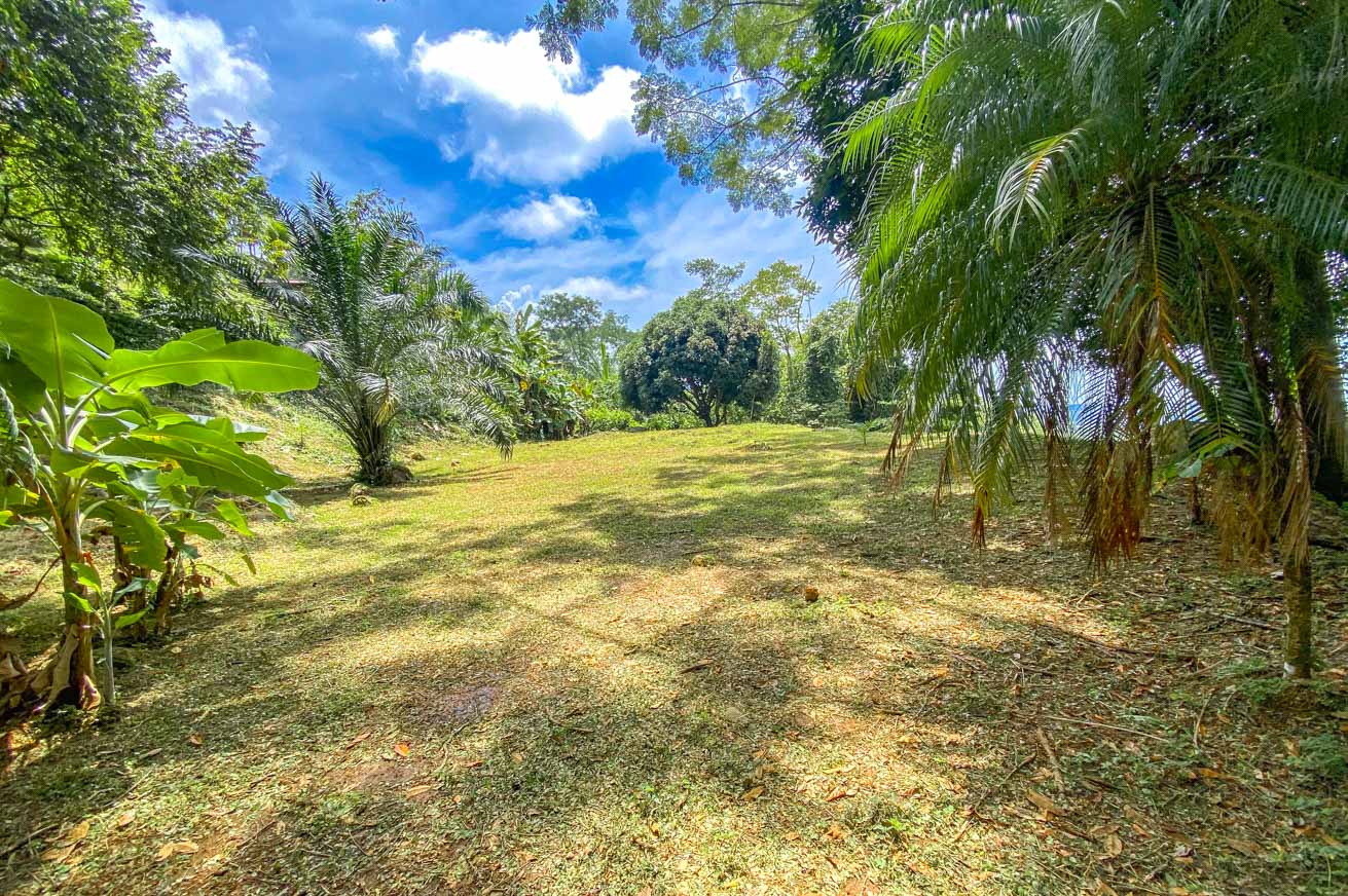 Large Uvita Lot with Whale’s Tail Ocean Views, Sunsets & Legal Water – Ready to Build selected