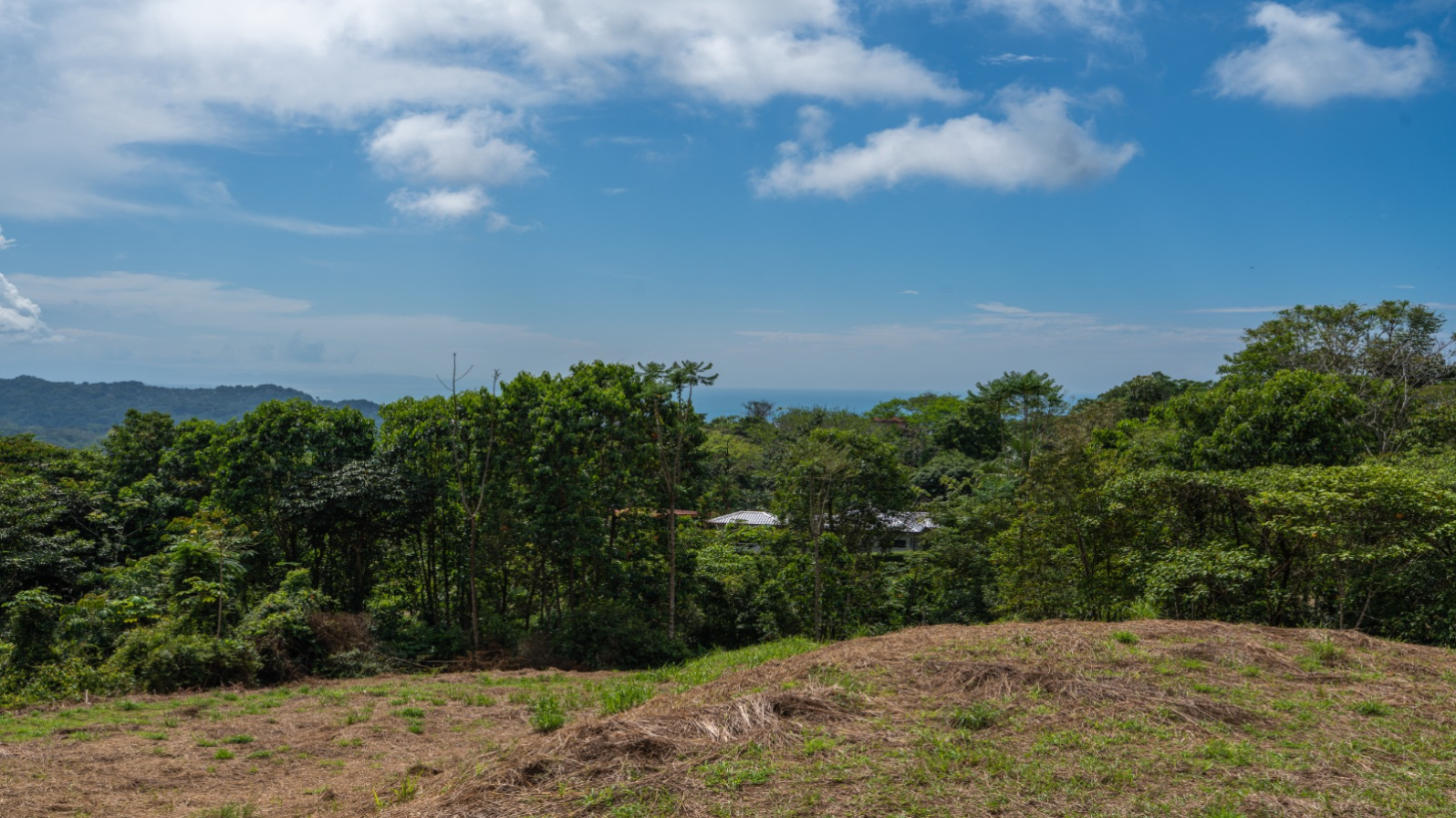 3-Acre Development Opportunity in Phase 5 Gated Community, Ojochal selected