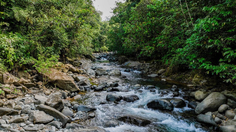 Beautiful 72 Acre Farm In Uvita With Waterfalls And Ocean Views selected