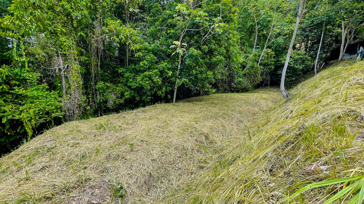 Ready-to-Build Jungle Lot in Ojochal’s Phase 10 Gated Community selected