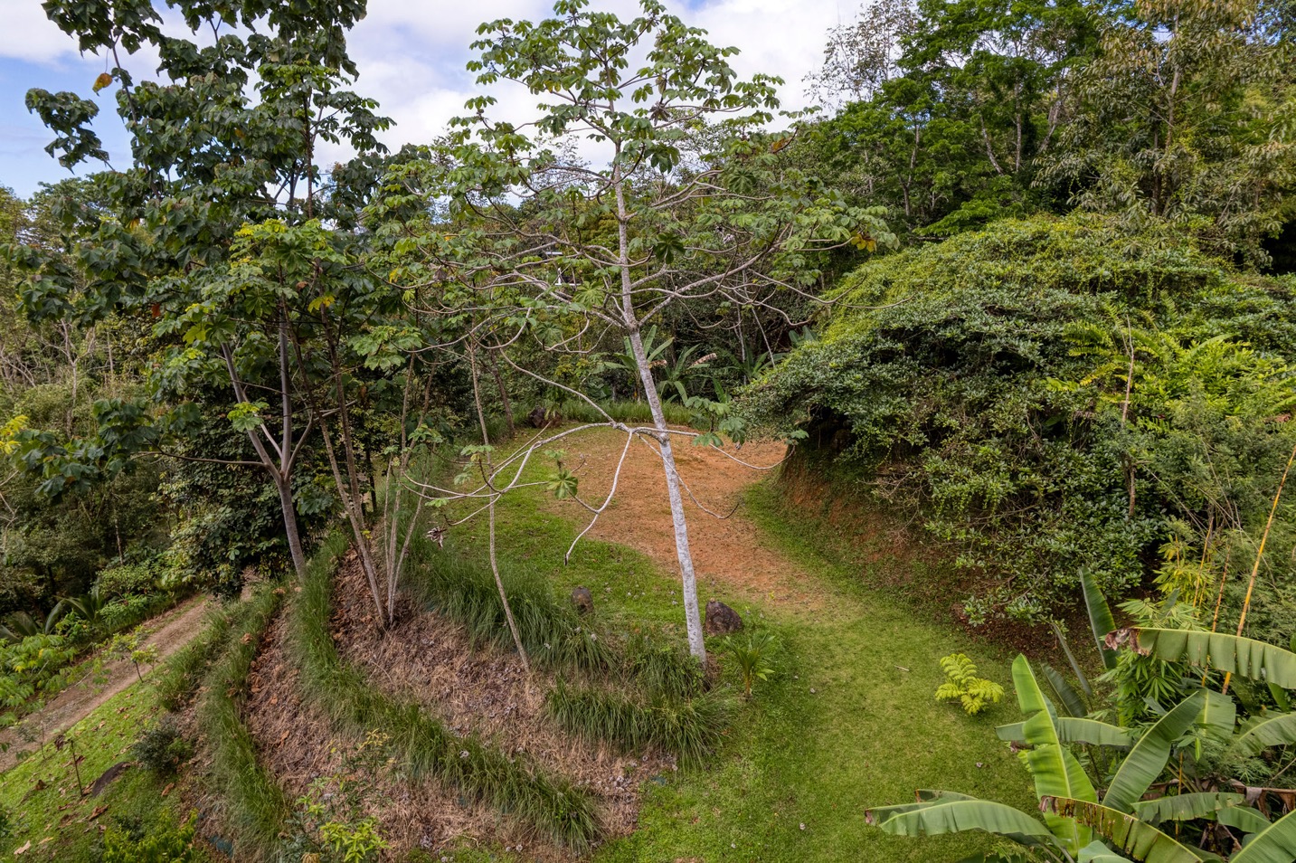 Two Modern Homes with Mountain View, Creek Access, and Multiple Building Sites in Tumbas, Tinamastes selected