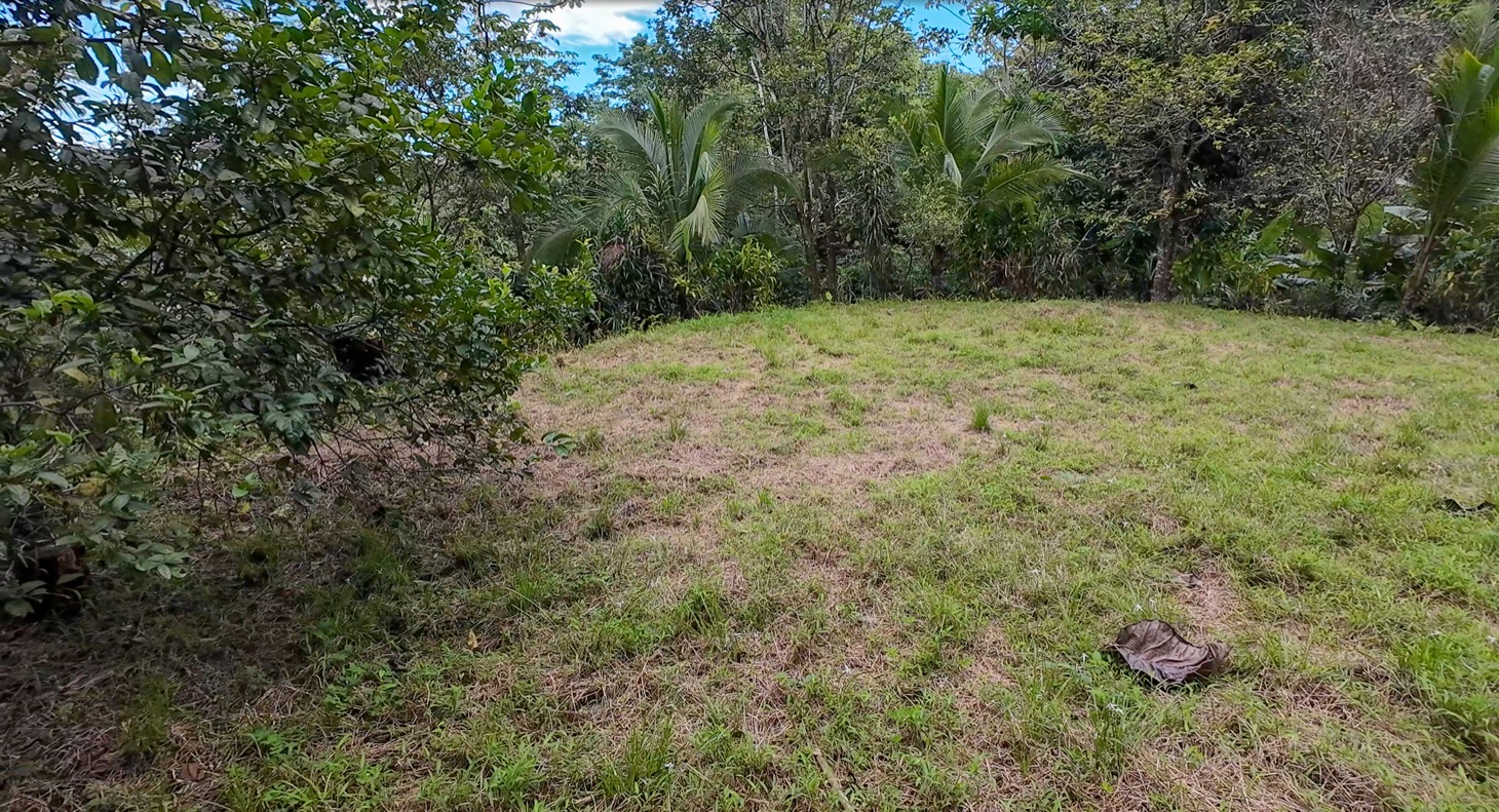 Stunning 16 acre Ocean View Property San Buenas, Costa Rica  selected