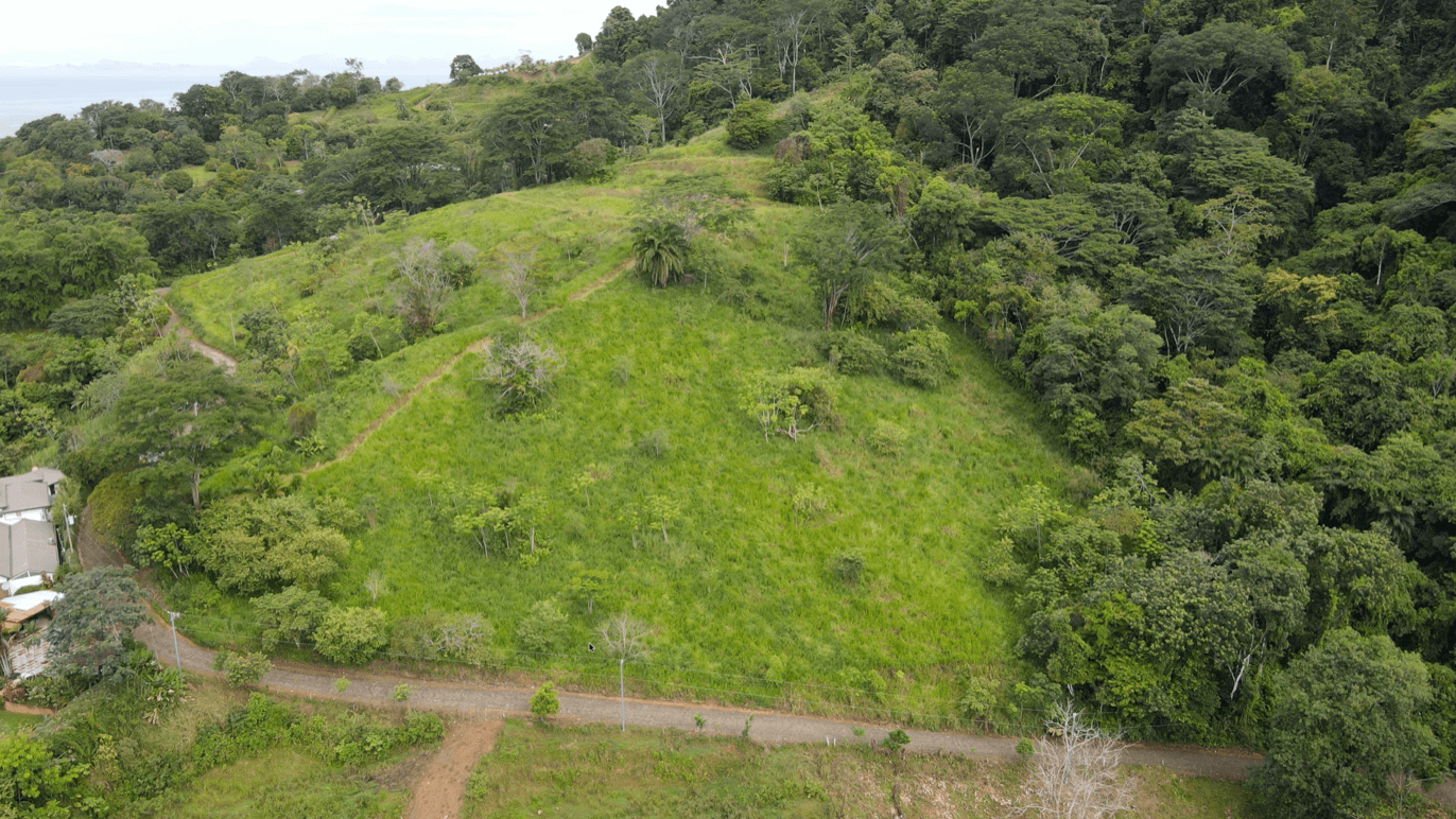Iconic Ojochal Property For Sale with the BEST VIEWS and PRIVACY selected