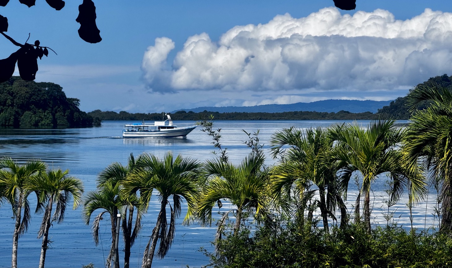 Turnkey Hotel With 24 Rooms, Pools & Restaurant - Prime Location in Golfito selected