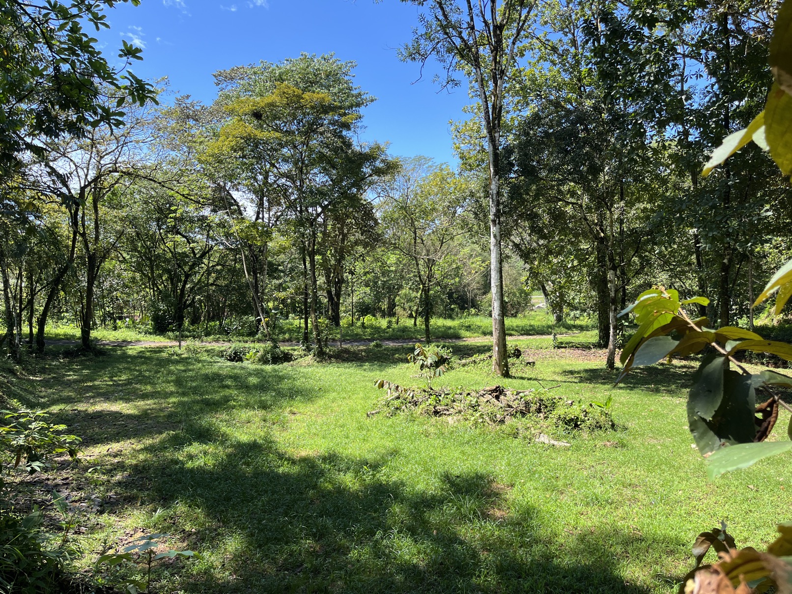 Flat Lot in Tortuga: Your Dream Project Awaits selected