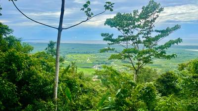 61.78 Acres of Oceanview Bliss with Private Waterfall in Tres Rios image 3