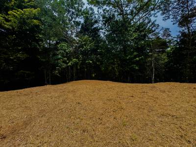 Prime 2.35-Acre Jungle Property in Sought-After Ojochal — Public Road Frontage, Development Flexibility, and Natural Beauty image 3