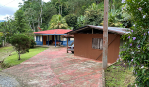 2.9 ACRES – Tons of Fruit Trees, 3 Bedroom Tico Home Plus Bodega In Tinamastes selected