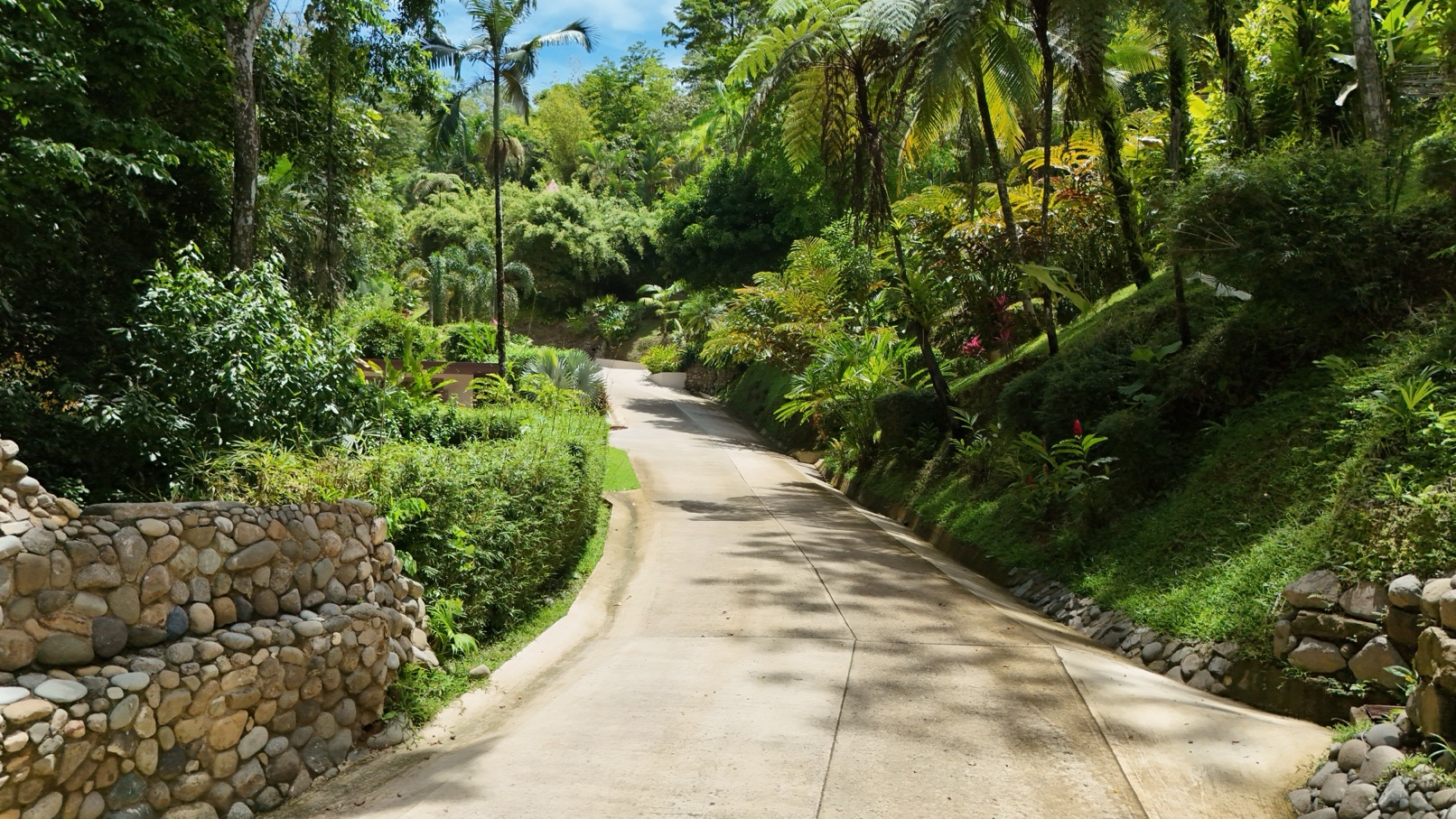 Expansive Oceanview Estate Lot in Uvita selected