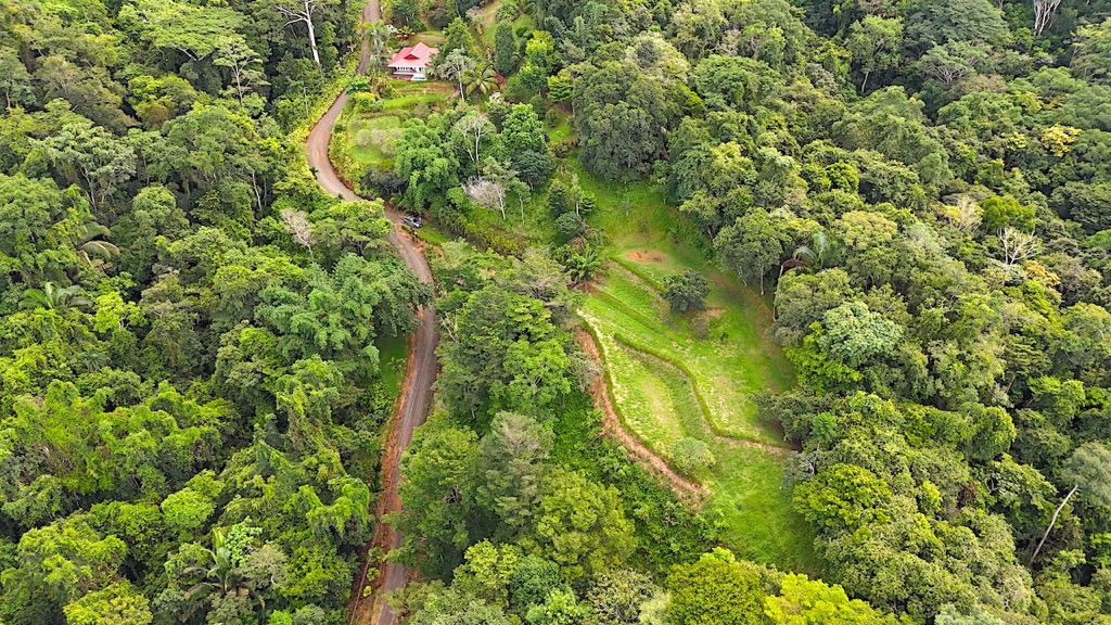 Spectacular Mountain & Ocean View Property in Cacao Ridge, Platanillo selected