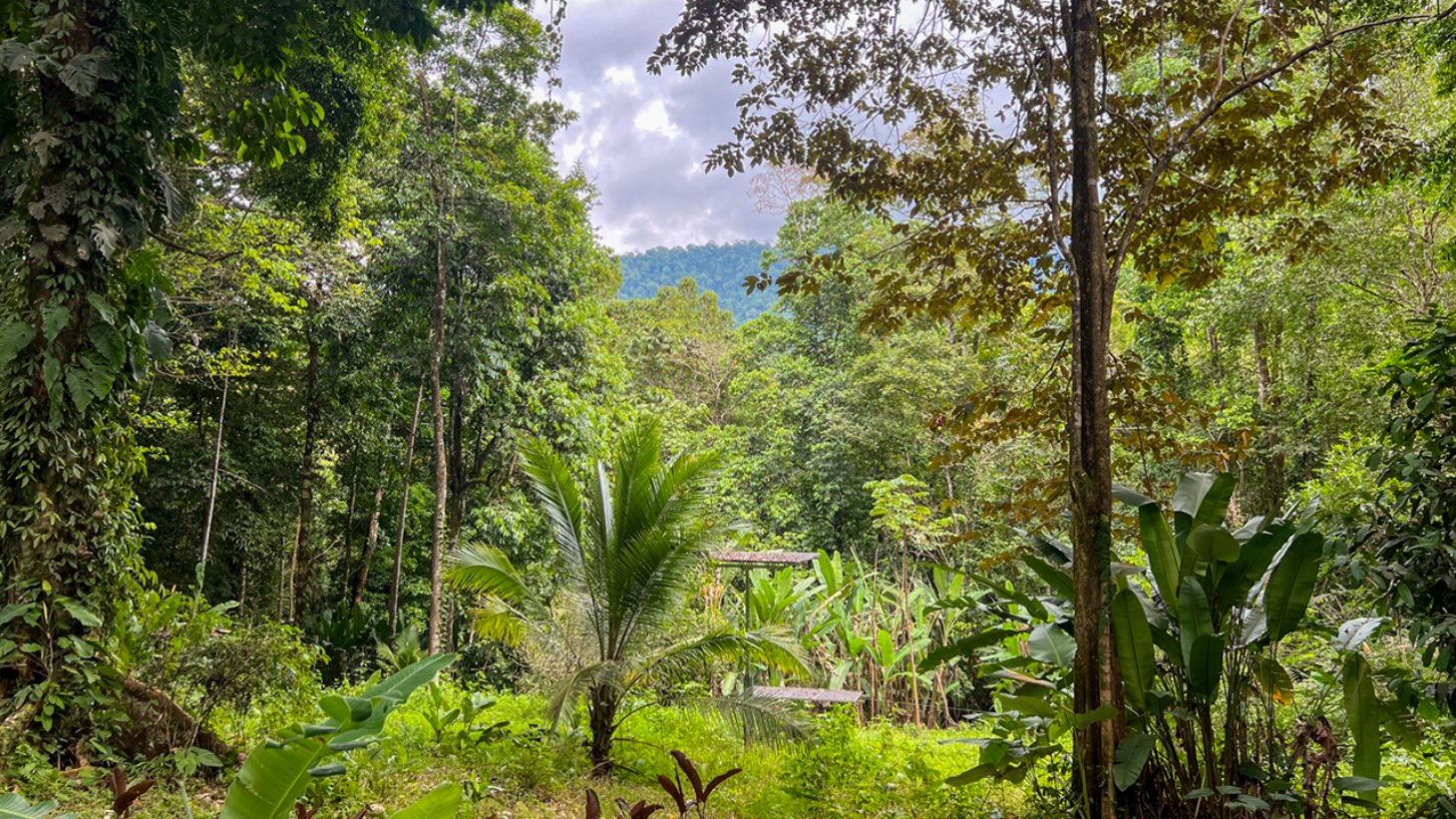 Riverfront Property with Primary Forest Close to Uvita Beaches selected