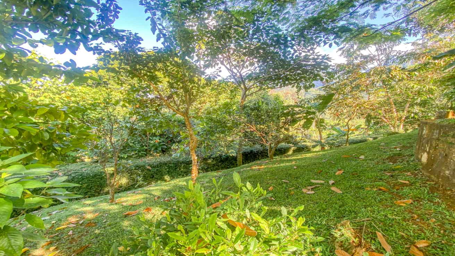 Ocean,Jungle & Mountain View Home in Ojochal | Protected Jungle Setting selected