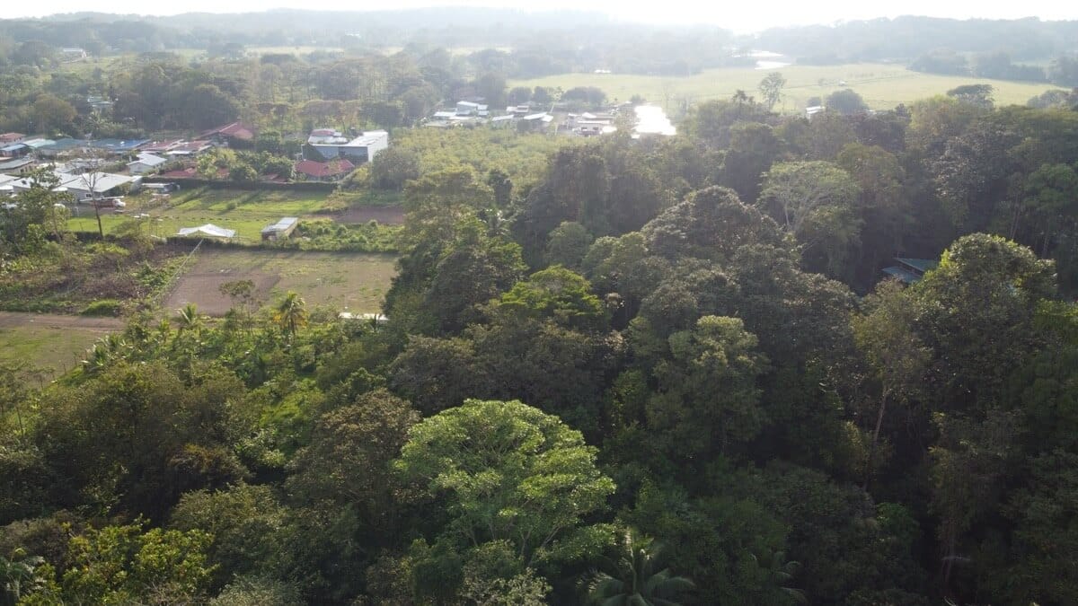 Prime Commercial Property In Uvita selected