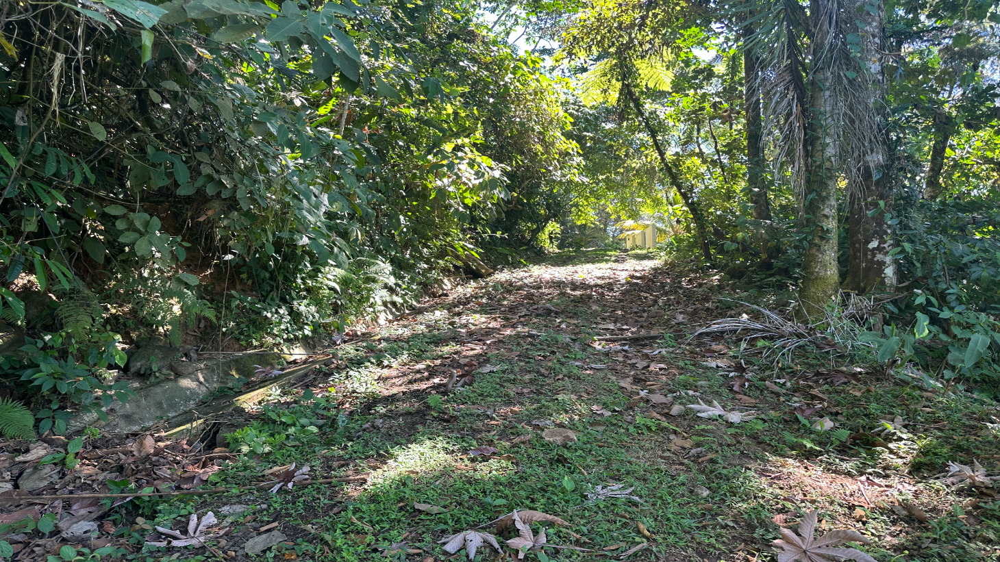 Exclusive 5.80 acres Ocean View Estate Lot in Costa Verde Estates – Escaleras selected