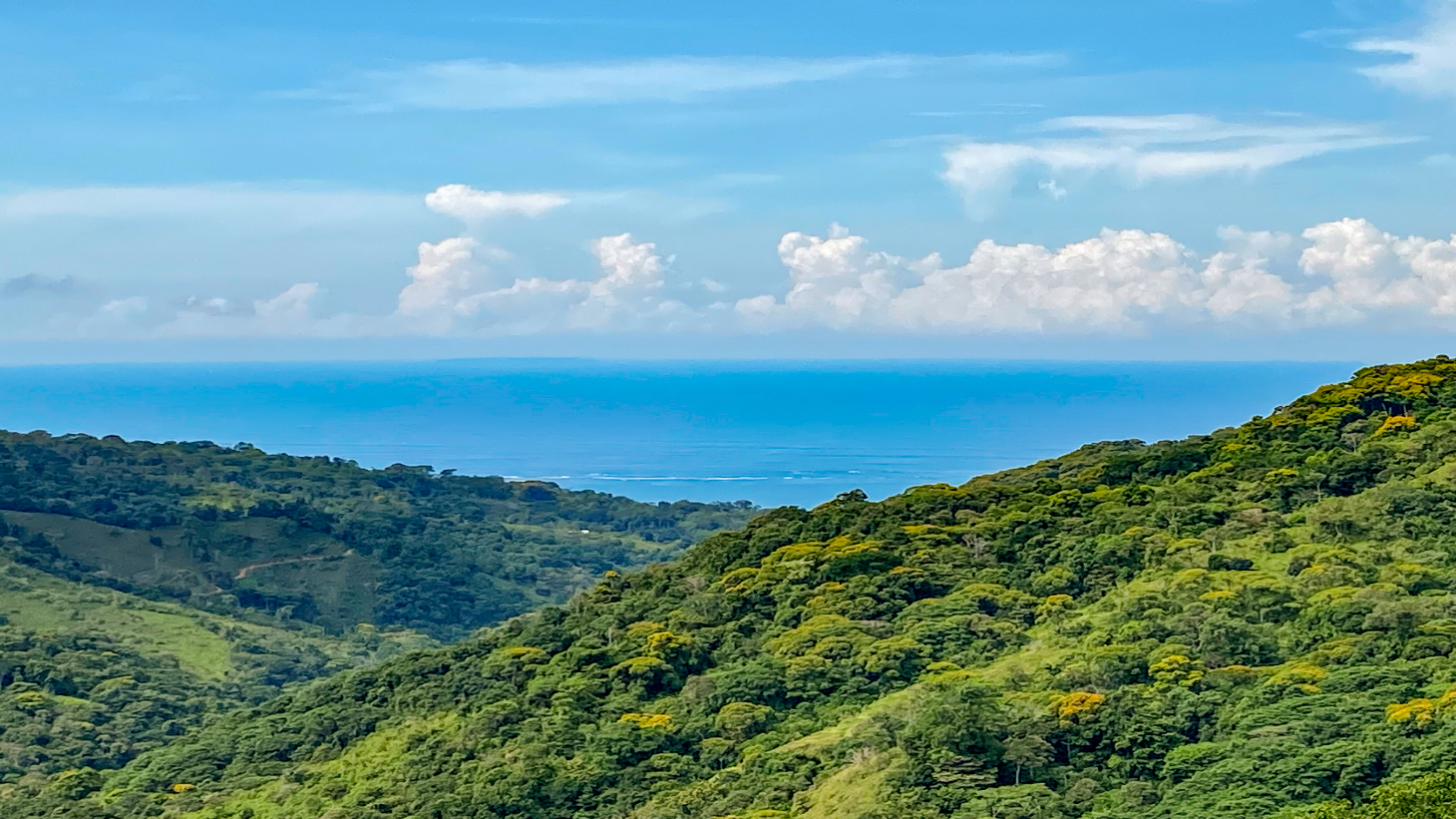 1.5 Acre Ocean & Mountain View Lot Near Uvita | Legal Water & Privacy selected