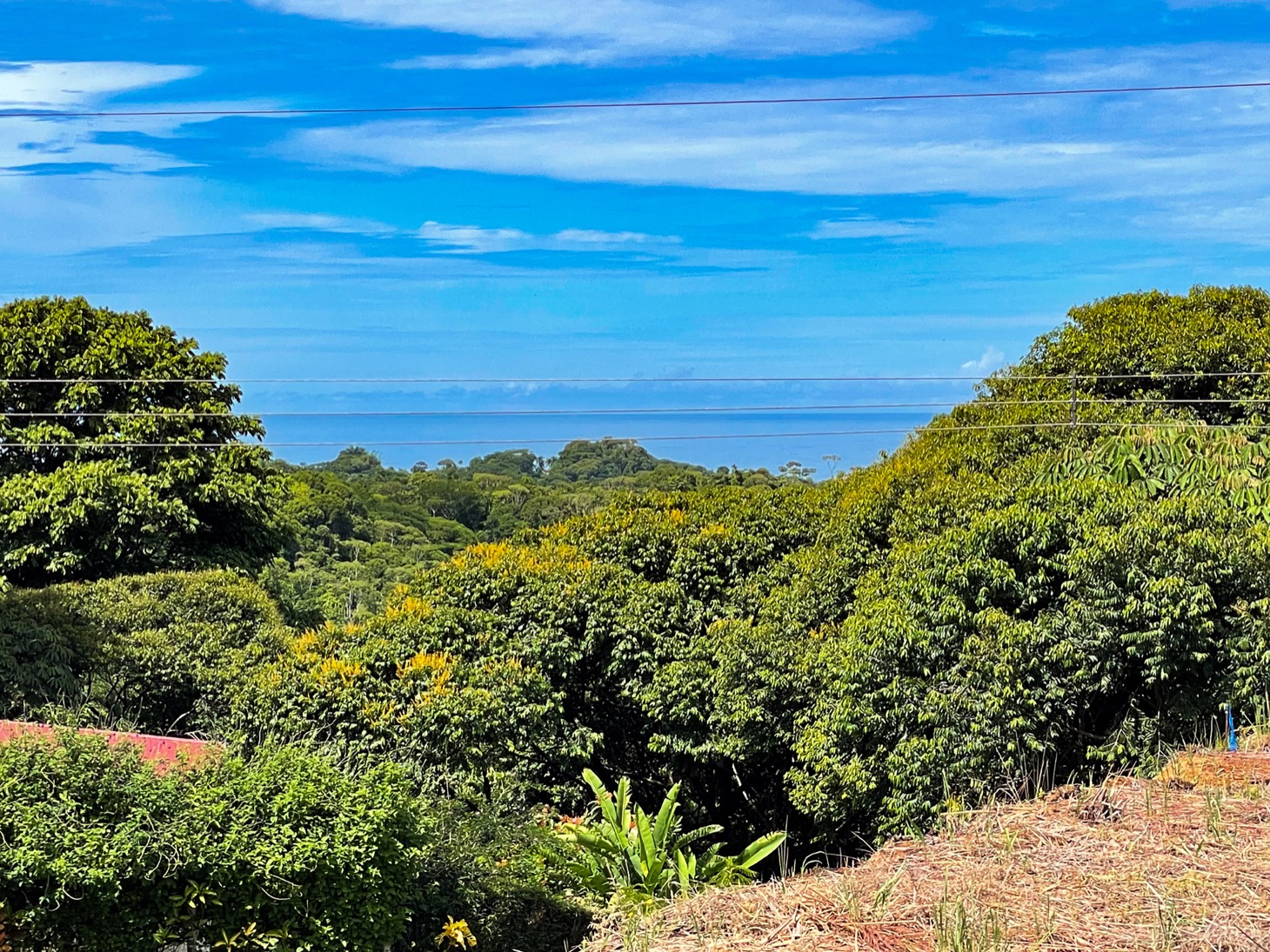 Spectacular Land for Sale in Ojochal's Premier Gated Community: Unparalleled Views, Size, and Security! selected