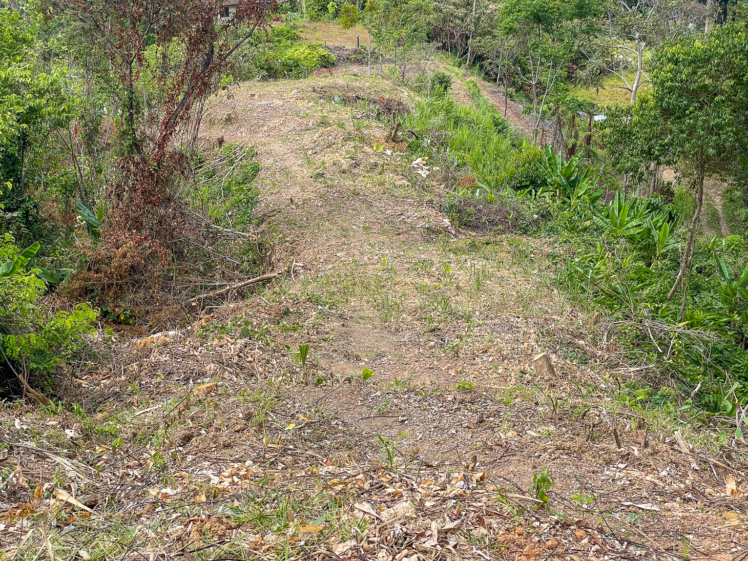 Excellent Dream Home Or Mini-Development Opportunity: 2.2-Acre Ocean View Property in Ojochal, Costa Rica selected