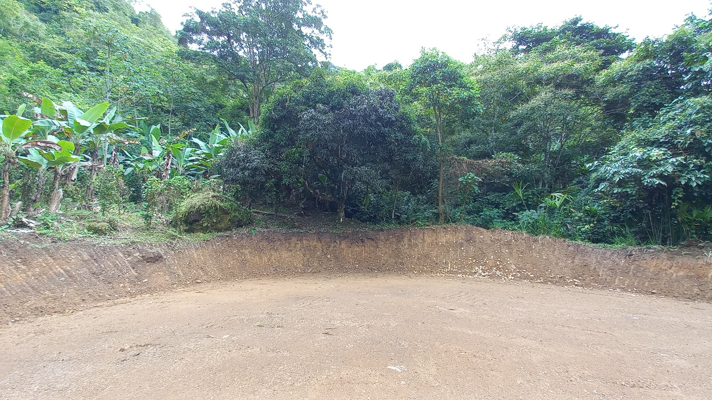 Mountain View Home Site with Seasonal Waterfall and Mature Fruit Trees selected