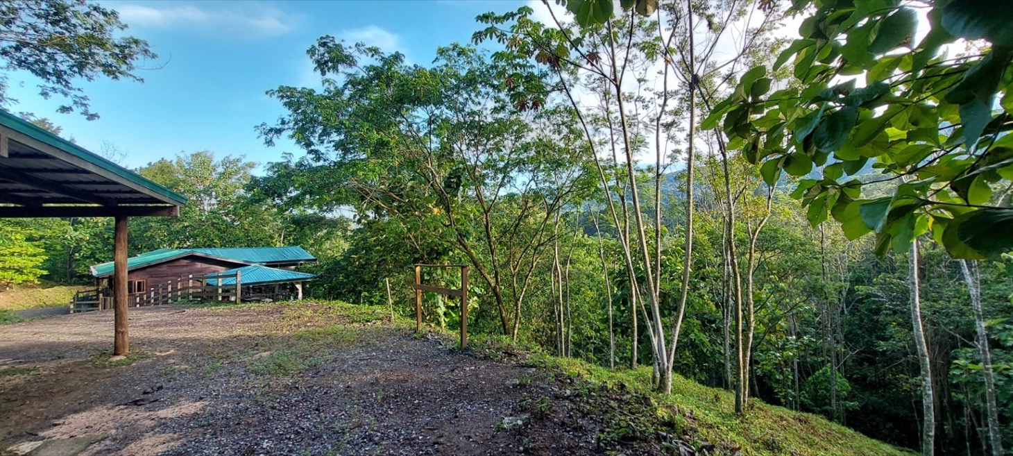 Rustic Elegance in the Heart of Nature – Tres Ríos Mountain Retreat with Expansion Potential selected